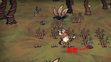 饥荒海难竹子怎么移植 海难模式下饥荒游戏中的竹子移植技巧