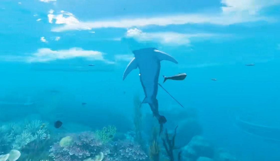 荒岛求生抓大白鲨技巧是什么