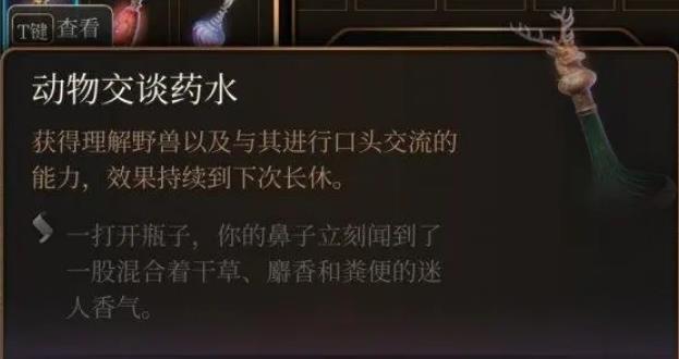 博德之门3动物交谈药水在哪