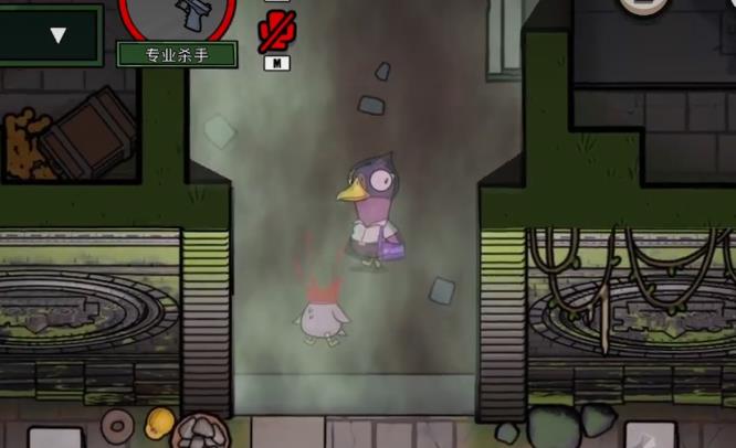 鹅鸭杀丛林神殿迷雾谁能进去