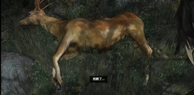 古墓丽影鹿肉怎么带回营地