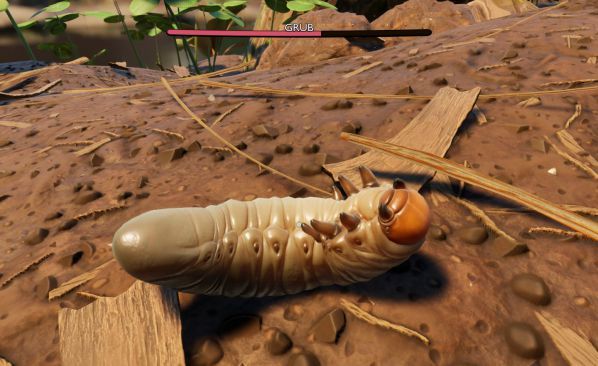 禁闭求生蛴螬皮怎么获得