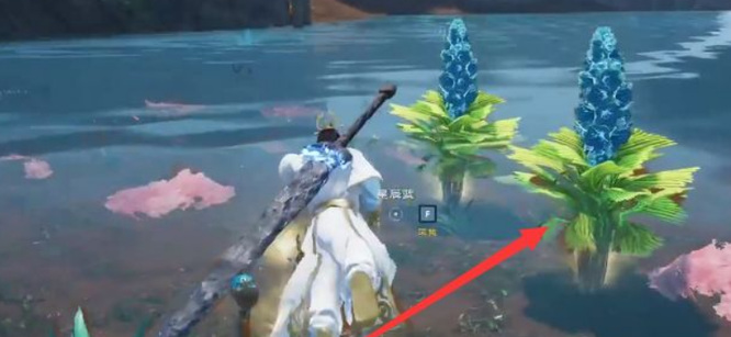 太荒初境星辰蓝在哪里 太荒初境星辰蓝的寻找之旅