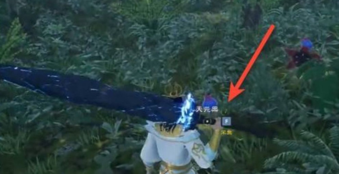 太荒初境天元果在哪 太荒初境中的天元果位置在哪