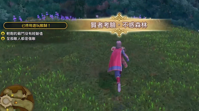 勇者斗恶龙11不惑之森在哪