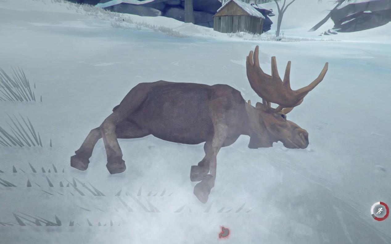 漫漫长夜海边刷什么