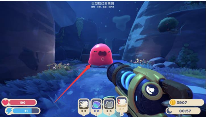 史莱姆牧场2巨型史莱姆位置在哪 史莱姆牧场2如何找到巨型史莱姆