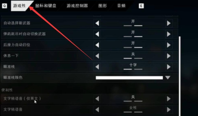 喋血复仇语言设置在哪