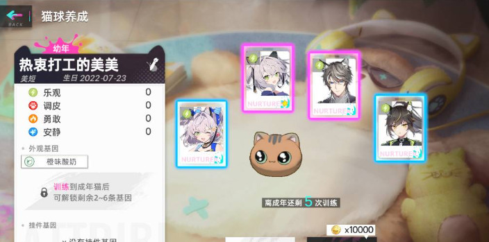 猫之城猫球怎么进化 猫之城手游如何让猫球进行进化