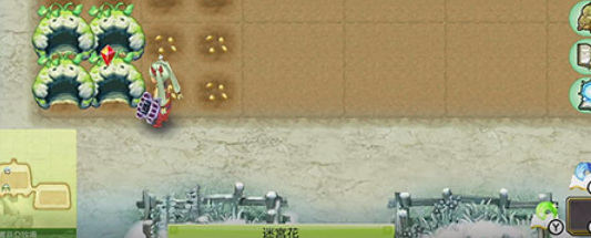 符文工房4田地迷宫在哪里