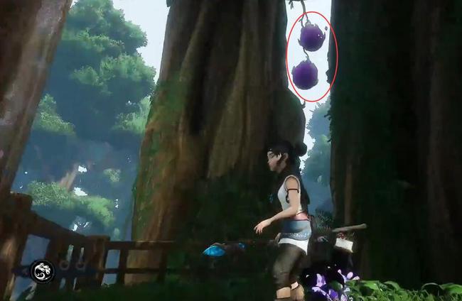 柯娜：精神之桥神木神社怎么上去 柯娜探寻神木神社的攀登之路