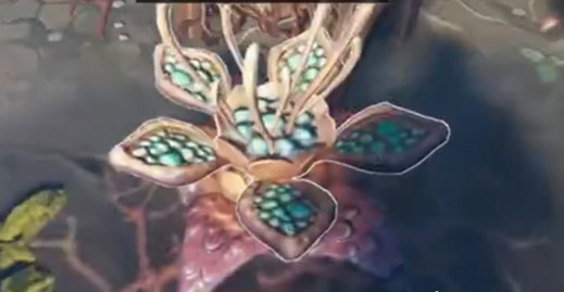 风暴奇侠水草丝长什么样