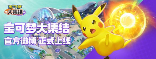 宝可梦大集结黑屏怎么办