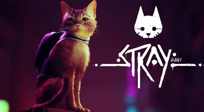 迷失夜店怎么过