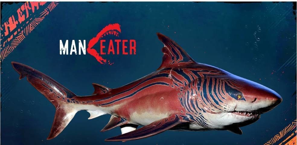 食人鲨声呐有什么用