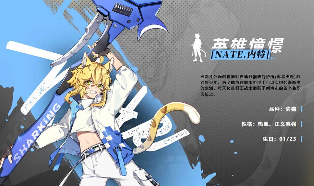 猫之城武装排名是什么样的