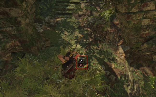 古墓丽影暗影秃鹰羽毛上不去怎么办 古墓丽影暗影中秃鹰羽毛上不去如何解决