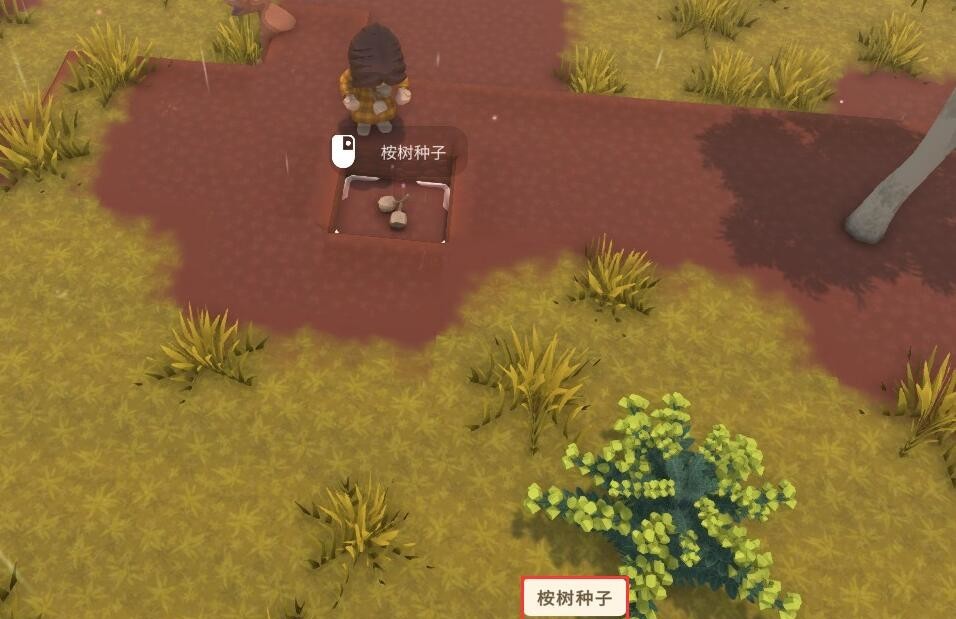 dinkum怎么种树 种出一片森林 Dinkum森林管家