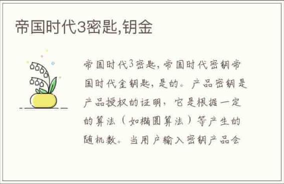 帝国时代3密钥是什么