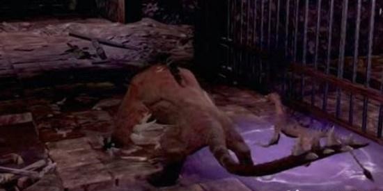 嗜血印捐赠防护服在哪