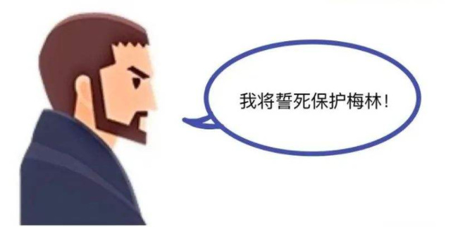 阿瓦隆派西维尔功能是什么