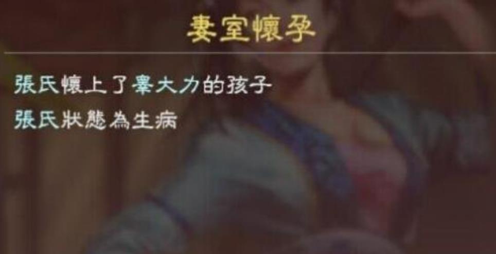 三国志13生孩子条件是什么