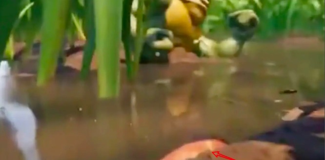 grounded粘土怎么获得 禁闭求生获取grounded中的粘土方法