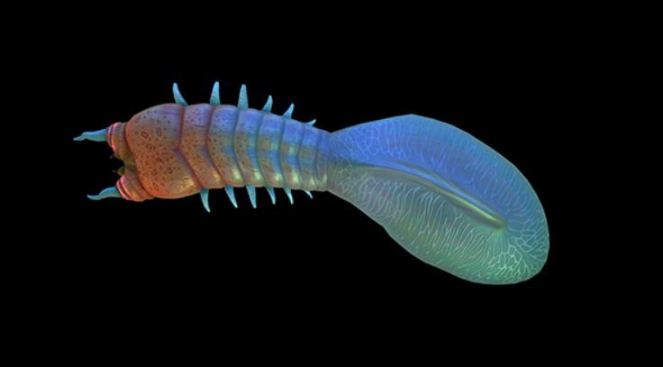 深海迷航吸血虫怎么弄掉