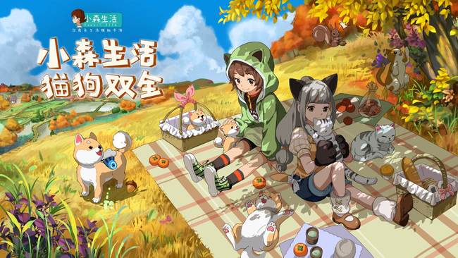 小森生活流星碎片掉在哪里