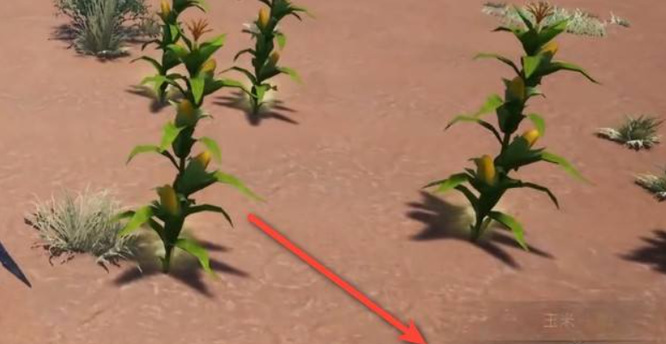 太荒初境玉米在哪 太荒初境寻找玉米的下落