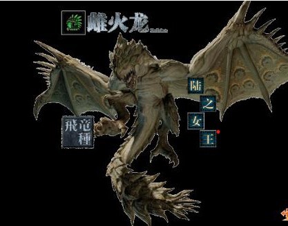 怪物猎人p3攻略是什么 怪物猎人P3攻略详解