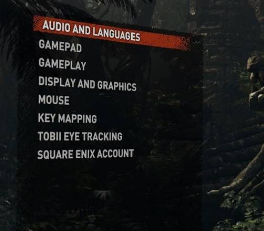 shadow of the tomb raider怎么改中文epic 古墓丽影暗影如何在Epic上切换中文