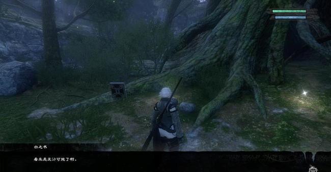 如何完成支线： 生病的孩子 尼尔强化版支线病患童年