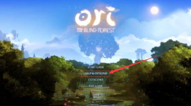 奥日与迷失森林没有中文选项怎么办