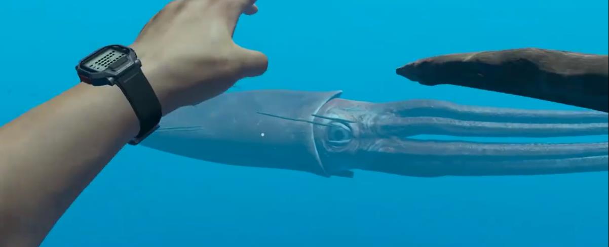 荒岛求生海底章鱼怎么打的 荒岛求生打败海底章鱼的攻略