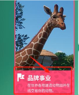 动物园之星能联机吗