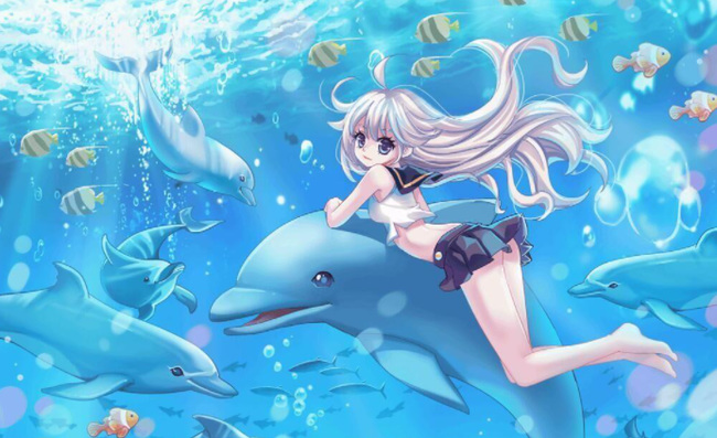 彩虹岛怎么升级快