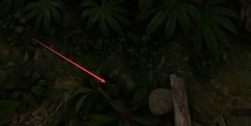 丛林地狱绿九节怎么找 探险丛林地狱绿九节在哪里寻找