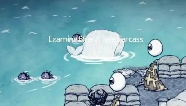 饥荒海难鲸鱼怎么切开 饥荒海难鲸鱼剖开攻略